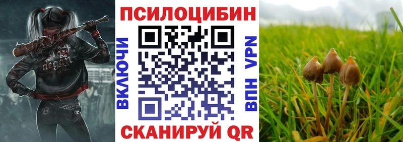 Галлюциногенные грибы Psilocybine cubensis Ленинск-Кузнецкий